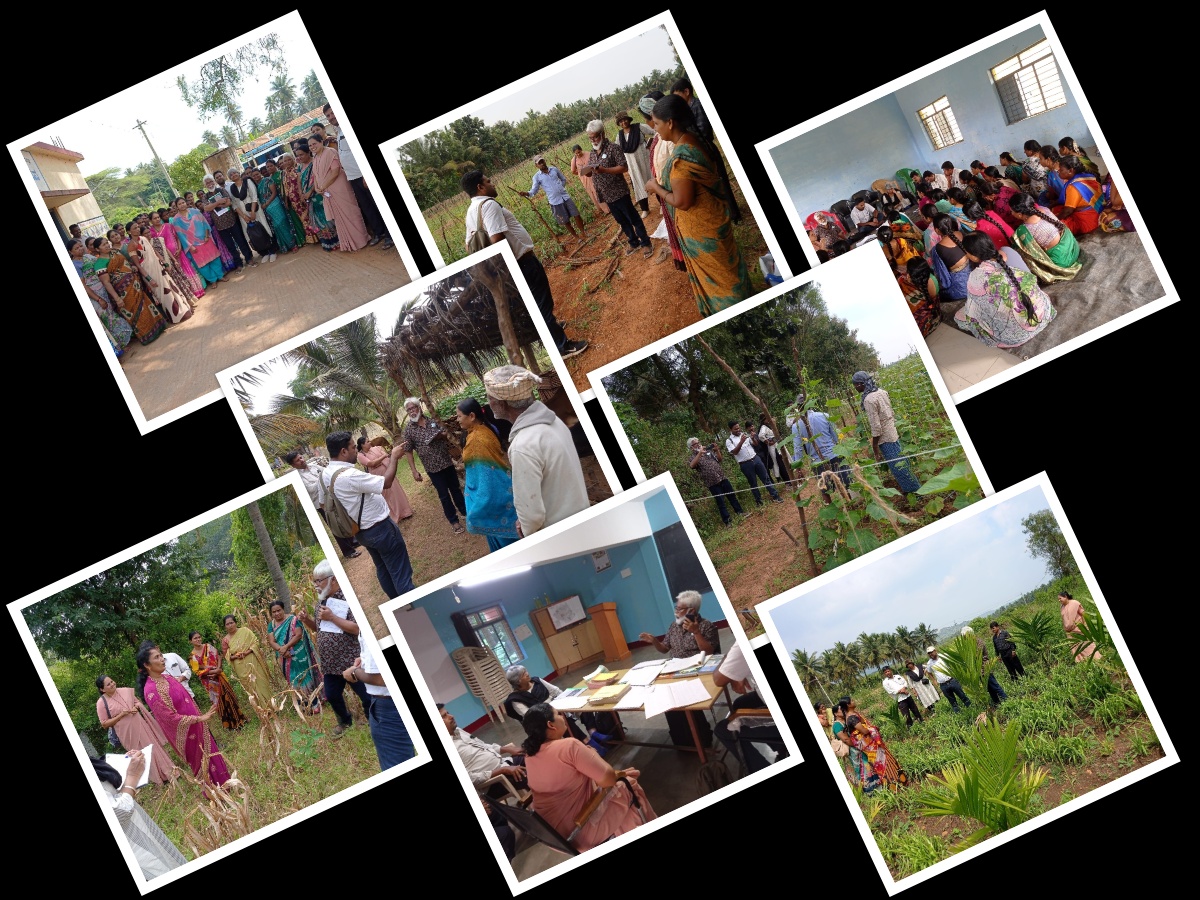 Event Image 1